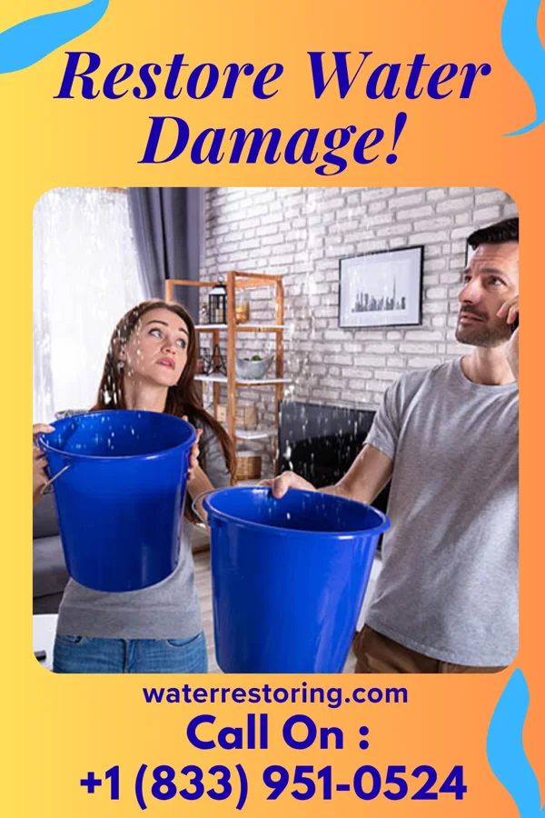 water restoration Vigilant Drying Team Rahway