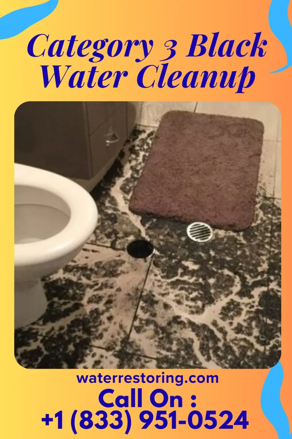 Category 3 Black Water Cleanup in Rahway, NJ