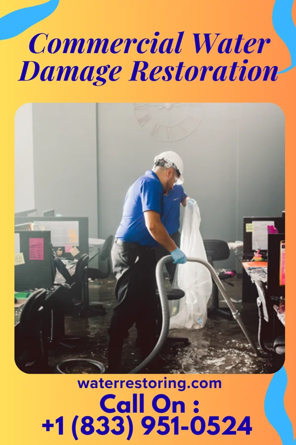 Commercial Water Damage Restoration in Rahway, NJ