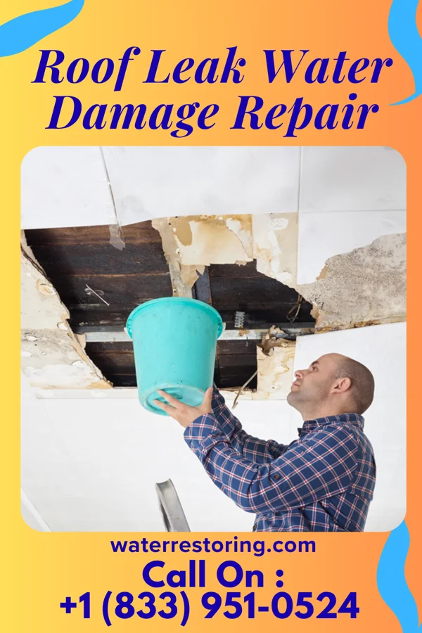 Roof Leak Water Damage Repair in Rahway, NJ