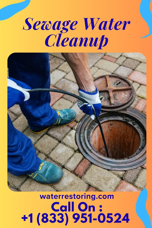 Sewage Water Cleanup in Rahway, NJ