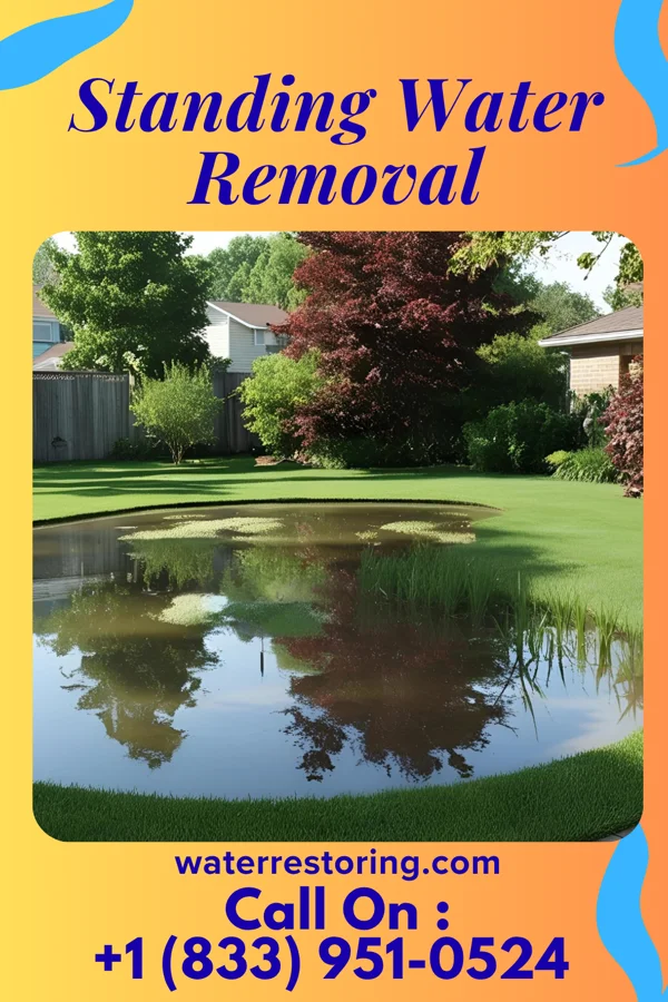 Standing Water Removal in Rahway, NJ